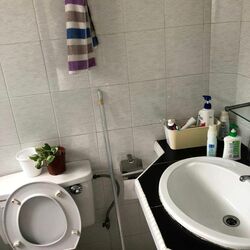 Pandan Valley (D21), Condominium #373011571